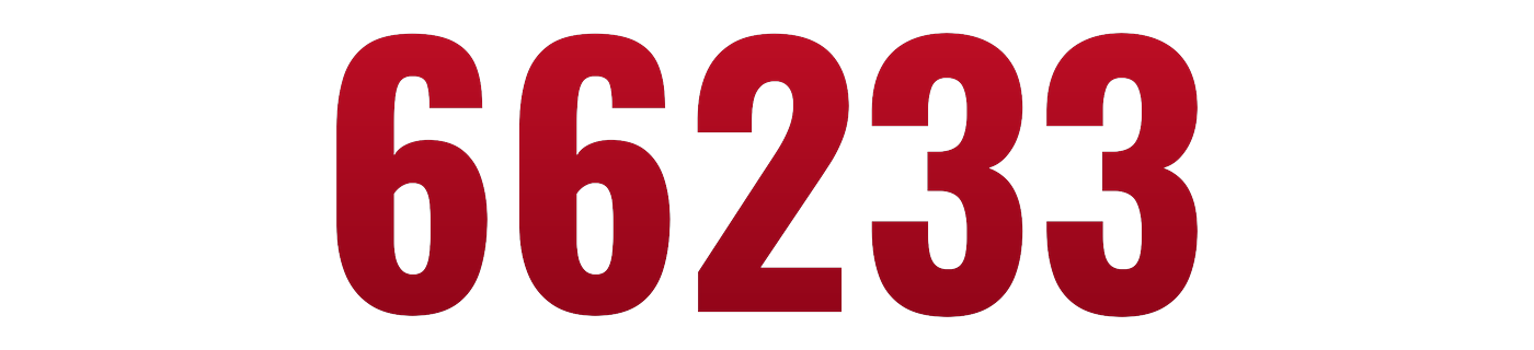 66233